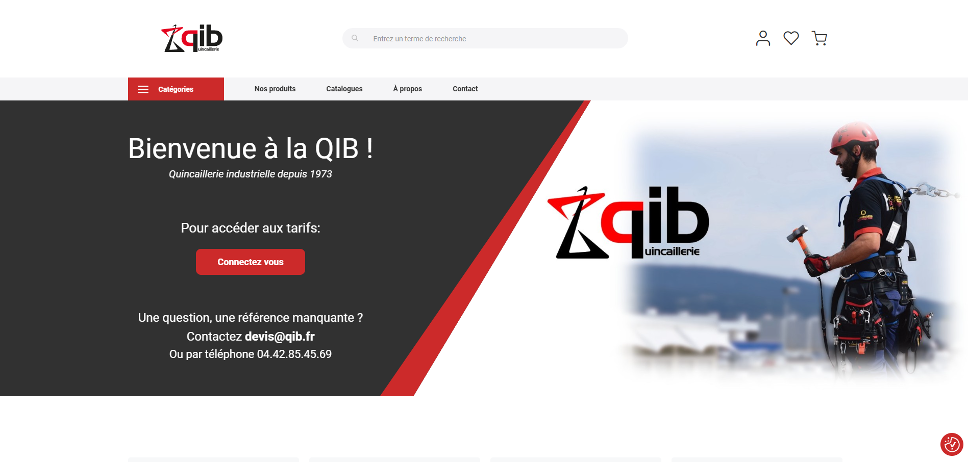 E-commerce B2B QIB